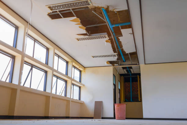 Best Ceiling water damage repair  in Groesbeck, TX