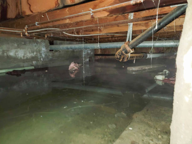 Sewage cleanup and water damage restoration in Groesbeck, TX