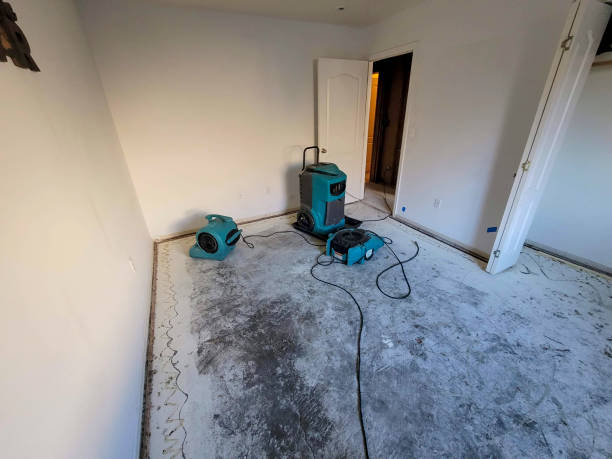 Best Local water damage restoration  in Groesbeck, TX