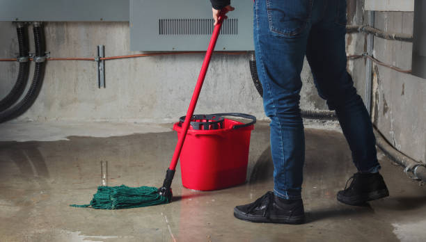 Best Flooded house restoration  in Groesbeck, TX