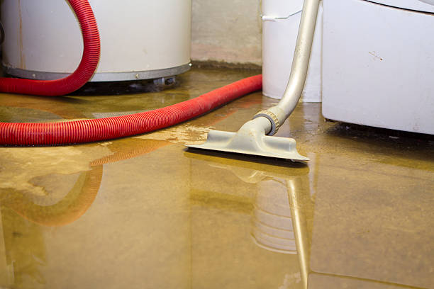 Best Water damage cleanup near me  in Groesbeck, TX