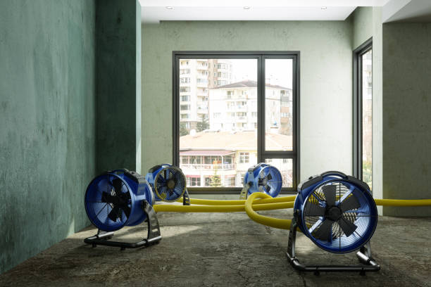 Best Emergency water damage restoration  in Groesbeck, TX